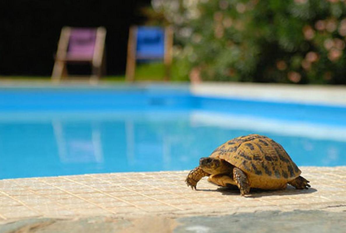 Sun Beach Ajaccio (Corsica) Exterior foto